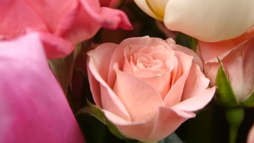 Top of Bouquet Flower with Roses and Tulips, on Yellow, Rotation, Close Up