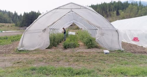 Two farmers working in field 4k