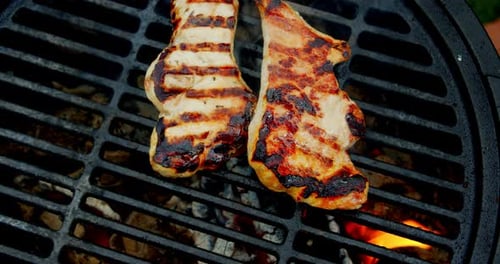 Succulent Pork Cooking on Hot Charcoal Grill