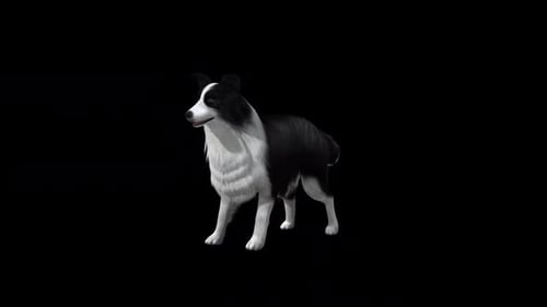 Sheep Dog Bark View From Front Side