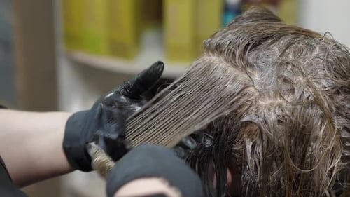 Applying Hair Dye With Brush in Salon