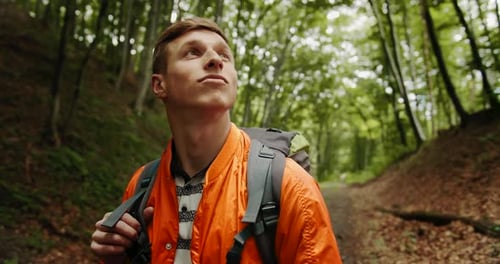 Mann mit Rucksack schaut sich im Wald um