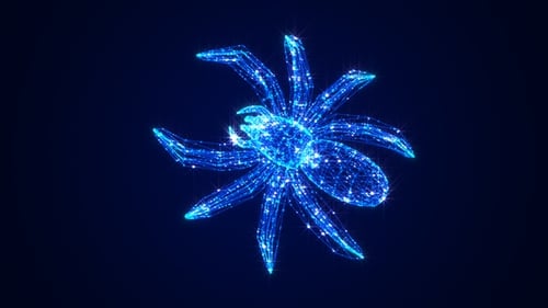 Spinnenhologramm V2