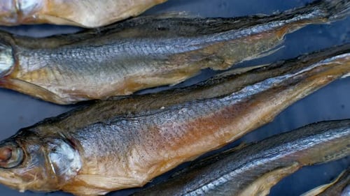 Salted Dried Fishes Rotation on Plate.
