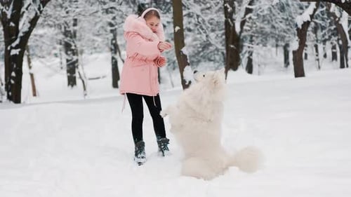 Girl and Dog Play in Snowy Winter Park