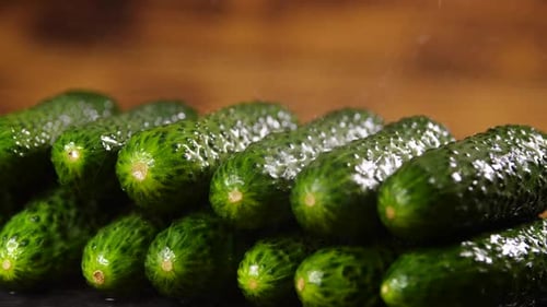 Fresh Green Cucumbers Being Washed Close Up