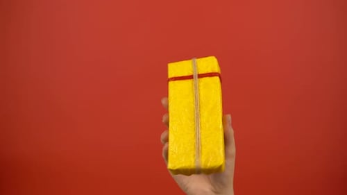Hand Hold Present Box Close Up Show Holiday Gift Color Background Celebration