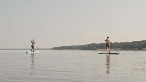 Two People Paddling on Sup Boards along Lake