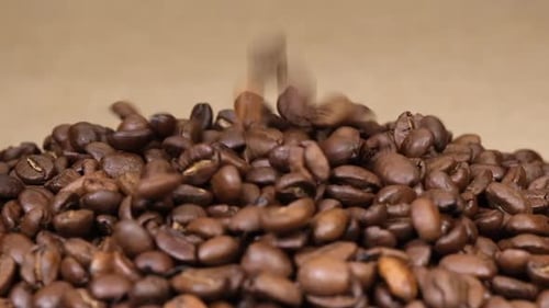 Coffee Beans Being Poured into a Pile