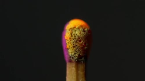 Macro Shot of a Match Igniting and Burning