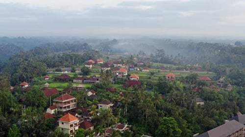Beautiful Sunrise Over Tropical Forest Jungle. Morning Fog in the Jungle. Ubud, Bali.