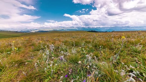 Le paysage des prairies du Xinjiang, en Chine