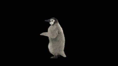 Cute Baby Penguin Walking Transparent Background