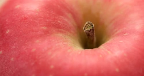 Roter Apfel Nahaufnahme