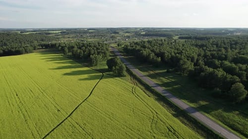 Asphalt Highway Road Among the Summer Field Under Blue Cloudy Sky