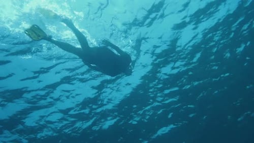 Snorkeling In The Mediterranean Sea