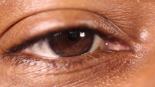 Extreme Close Up View of an Eye