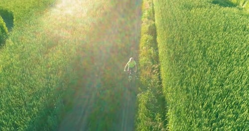 Luftaufnahme eines Jungen, der mit dem Fahrrad durch ein Weizengrasfeld auf der alten Landstraße fährt