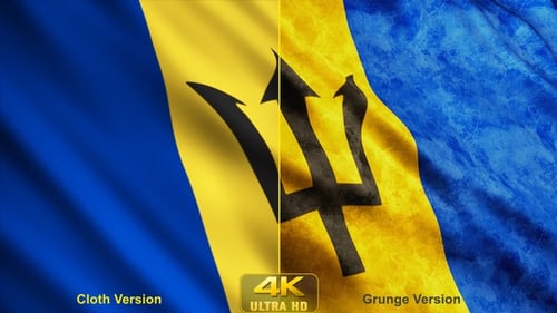 Loopable Waving Barbados Flag Animation with Clean and Grunge Styles