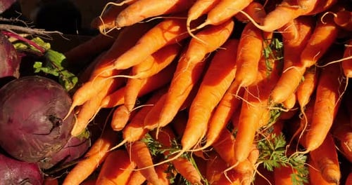 Fresh vegetables on stalls in a southern France market. Carrots and beets