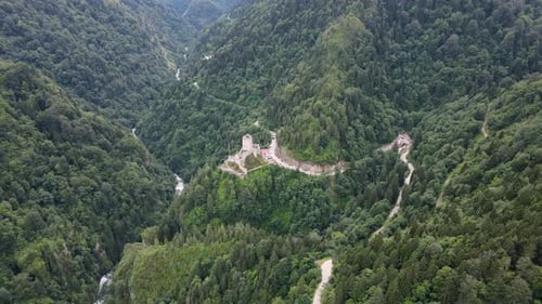 Historical Castle In The Forest