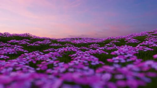 Frühlingslandschaft mit blühenden Blumen