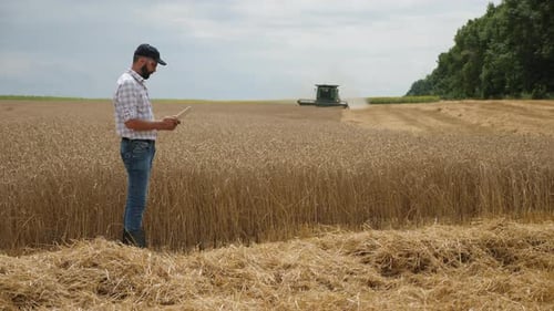 Farmer with Tablet Inspecting Wheat Harvest