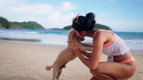 Woman Plays with Dog on Tropical Beach