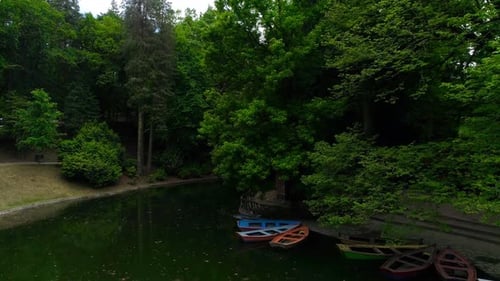 Calm Lake in Green City Park