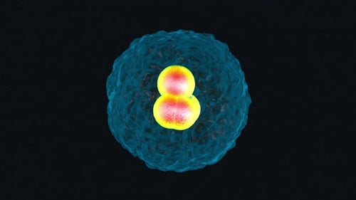 Particules subatomiques vibrantes