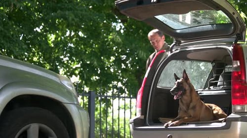 Un perro en el maletero de un coche le ladra a un extraño.