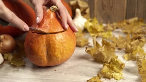 The Girl Cuts and Takes Away Tje Top of Pumpkin to Make the Lantern