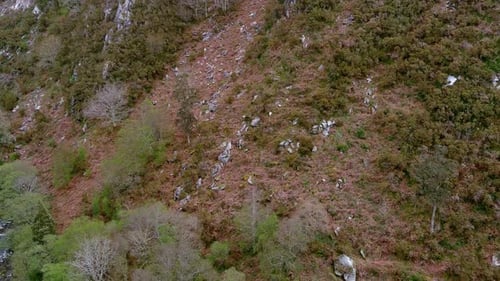 Cliffside in the valley full of vegetation at the beginning of spring. Drone shot, overhead plane of