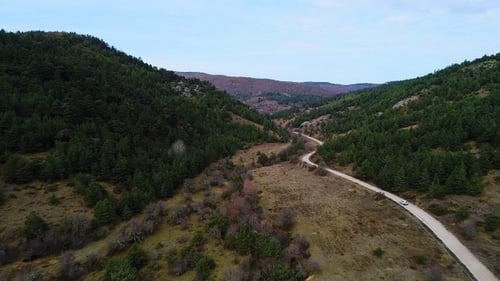 Auto fährt auf Straße im Wald