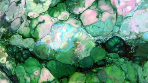 Abstract Patterns of Green, Pink, and Blue