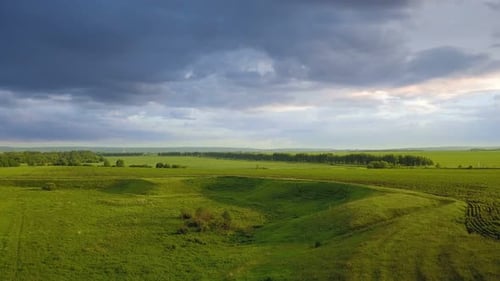 La nature