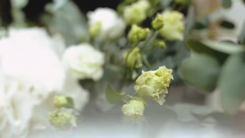 Nahaufnahme Bouquet aus frischen weißen und gelben Rosen mit grünen Blättern Nahaufnahme Zeitlupe