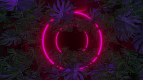 Abstract Neon Circle Logo Reveal with Tropical Leaves
