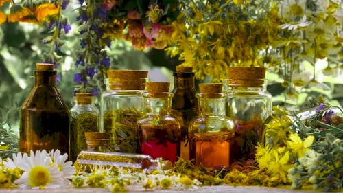 Various Jars with Herbal Medicine and Flowers