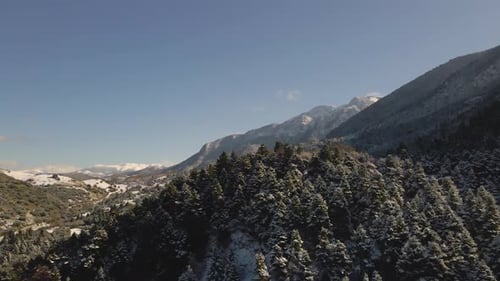 winter snow mountains with trees
