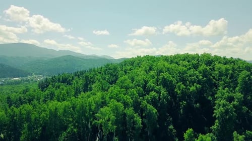 Aerial Flying Over Mountains and Forest Under Cloudy Sky