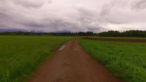 Walking on a Muddy Path on the Field