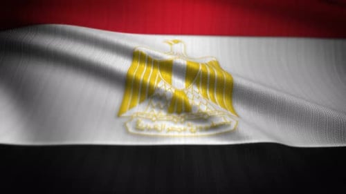 Realistic Egypt Flag Waving Seamless Loop Animation