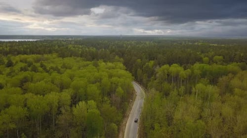 Forest Road Near Lake