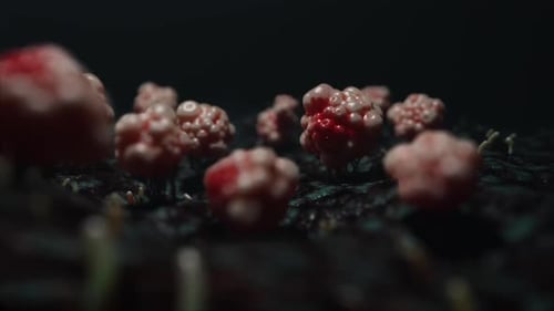 Abstract Microscopic Cells Dividing and Pulsating Animation