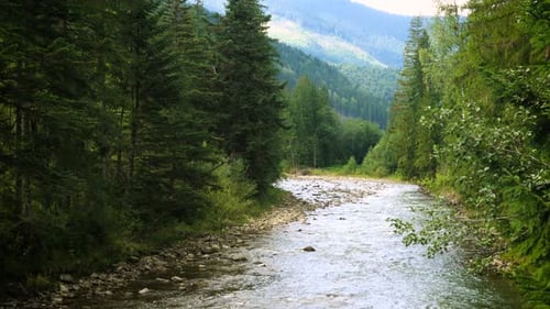 Beautiful Mountain River 4