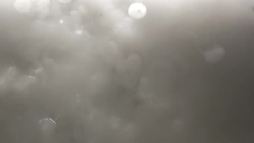 Smoke Science