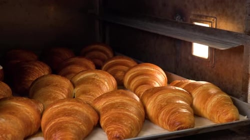 Fresh Baked Croissants in Oven, Close Up