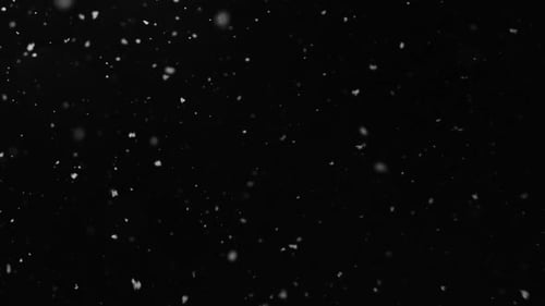 Falling Snow Isolated on Black Background