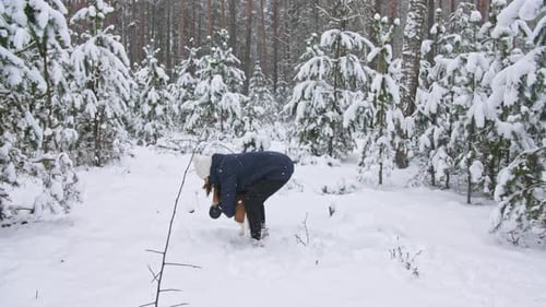 Happy Beagle Dog Playing with His Female Owner During the Walk in the Snowy Winter Forest